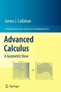 Advanced Calculus av James J. Callahan
