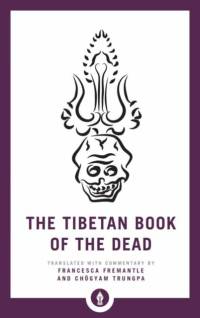 The Tibetan Book of the Dead av Francesca Fremantle