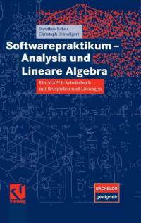 Softwarepraktikum - Analysis Und Lineare Algebra av Dorothea Bahns