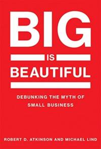 Big Is Beautiful av Robert Atkinson