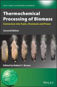 Thermochemical Processing of Biomass av R Brown