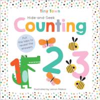 Hide-and-Seek Counting av Joshua George