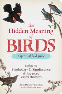 The Hidden Meaning of Birds--A Spiritual Field Guide av Arin Murphy-Hiscock