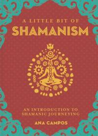 Little Bit of Shamanism, A av Ana Campos