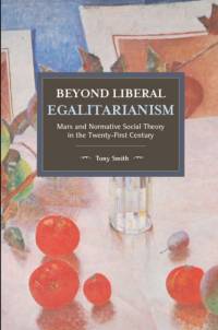 Beyond Liberal Egalitarianism av Tony Smith