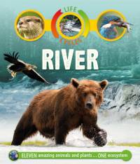 Life Cycles: River av Sean Callery