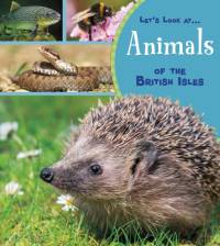Animals of the British Isles av Lucy Beevor