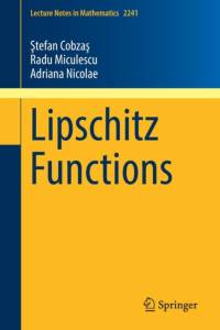 Lipschitz Functions av Stefan Cobzas