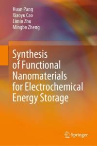 Synthesis of Functional Nanomaterials for Electrochemical Energy Storage av Huan Pang