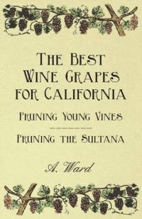 The Best Wine Grapes for California - Pruning Young Vines - Pruning the Sultana av Frederic T. Bioletti
