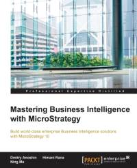 Mastering Business Intelligence with MicroStrategy av Ning Ma