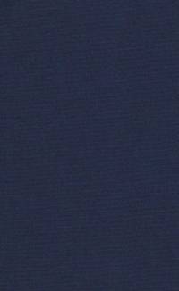Sermons... with a funeral sermon by the Rev. Samuel Finlay... Containing also an introductory memoir of President Davies, by the Rev. William B. Sprague. Vol. 2. av Samuel Davies