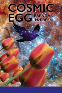 Cosmic Egg av Brendan McBreen