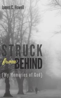 Struck from Behind av James C Howell