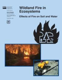 Wildland Fire in Ecosystems av U S Department of Agriculture