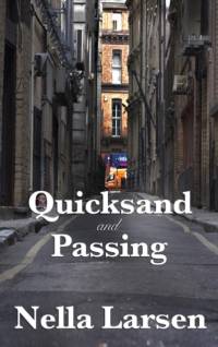 Quicksand and Passing av Nella Larsen