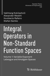 Integral Operators in Non-Standard Function Spaces av Stefan Samko
