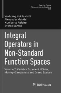 Integral Operators in Non-Standard Function Spaces av Stefan Samko