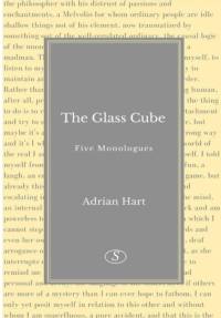 Glass Cube av Adrian Hart