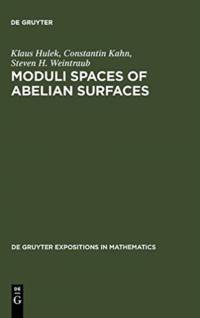 Moduli Spaces of Abelian Surfaces av Klaus Hulek
