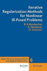 Iterative Regularization Methods for Nonlinear Ill-Posed Problems av Barbara Kaltenbacher