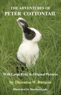 The Adventures of Peter Cottontail av Thornton W Burgess