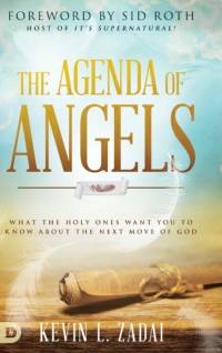 The Agenda of Angels av Kevin Zadai