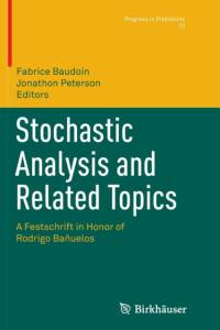 Stochastic Analysis and Related Topics