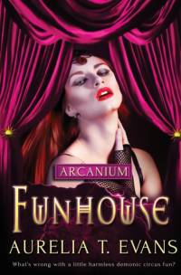 Funhouse av Aurelia T Evans