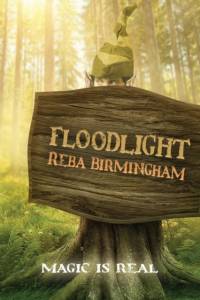 Floodlight av Reba Birmingham