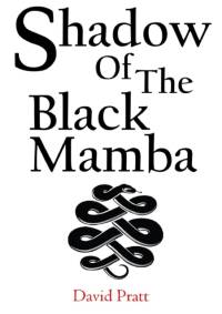 Shadow of the Black Mamba av David Pratt