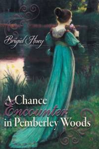 A Chance Encounter inPemberley Woods av Brigid Huey