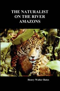 The Naturalist on the River Amazons av Henry Walter Bates