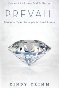 Prevail av Dr Cindy Trimm