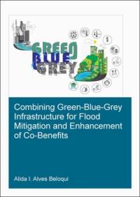 Combining Green-Blue-Grey Infrastructure for Flood Mitigation and Enhancement of Co-Benfits av Alida (IHE Institute for Water Education Alves Beloqui