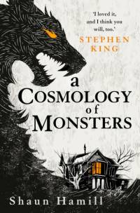 A Cosmology of Monsters av Shaun Hamill