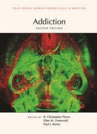 Addiction, Second Edition av Paul J (Icahn School of Medicine at Mount Sinai) Kenny