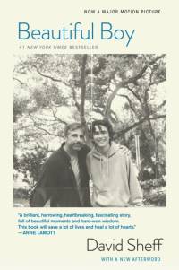 Beautiful Boy (tie-In) av David Sheff