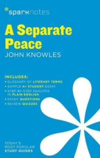 A Separate Peace SparkNotes Literature Guide av SparkNotes