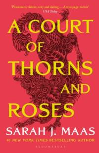 A Court of Thorns and Roses av Sarah J. Maas
