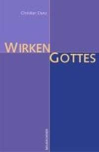 Wirken Gottes av Christian Danz