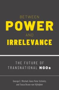 Between Power and Irrelevance av George E. (Associate Professor Mitchell