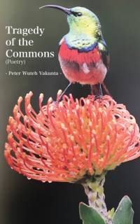 Tragedy of the Commons av Peter Wuteh Vakunta