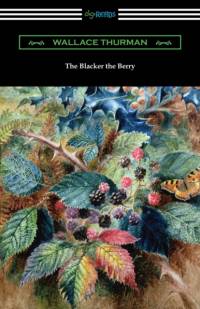 Blacker the Berry av Wallace Thurman