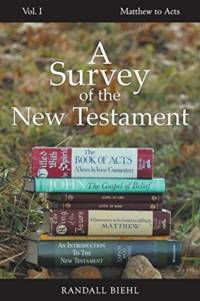 Survey of the New Testament av Randall Biehl