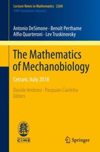 The Mathematics of Mechanobiology av Antonio DeSimone