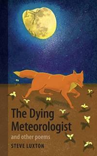 The Dying Meteorologist av Steve Luxton