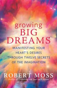 Growing Big Dreams av Robert Moss