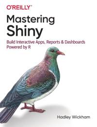 Mastering Shiny av Hadley Wickham