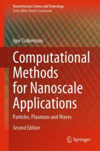 Computational Methods for Nanoscale Applications av Igor Tsukerman